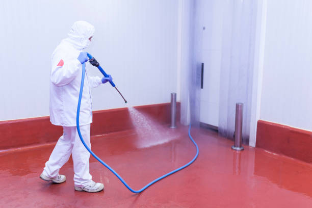 Best Sidewalk and Walkway Cleaning  in Brooksville, MS